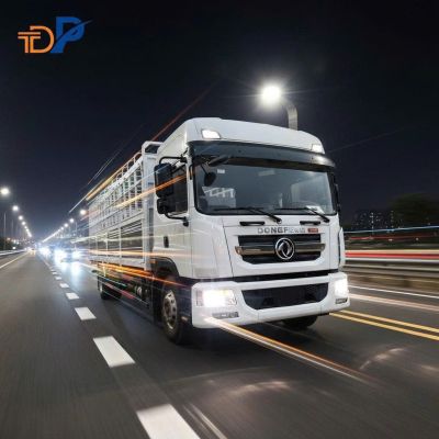 DONGFENG D12
